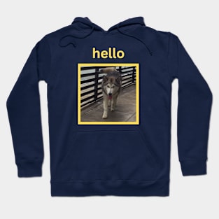 Husky Walking Simple Yellow Hello Hoodie